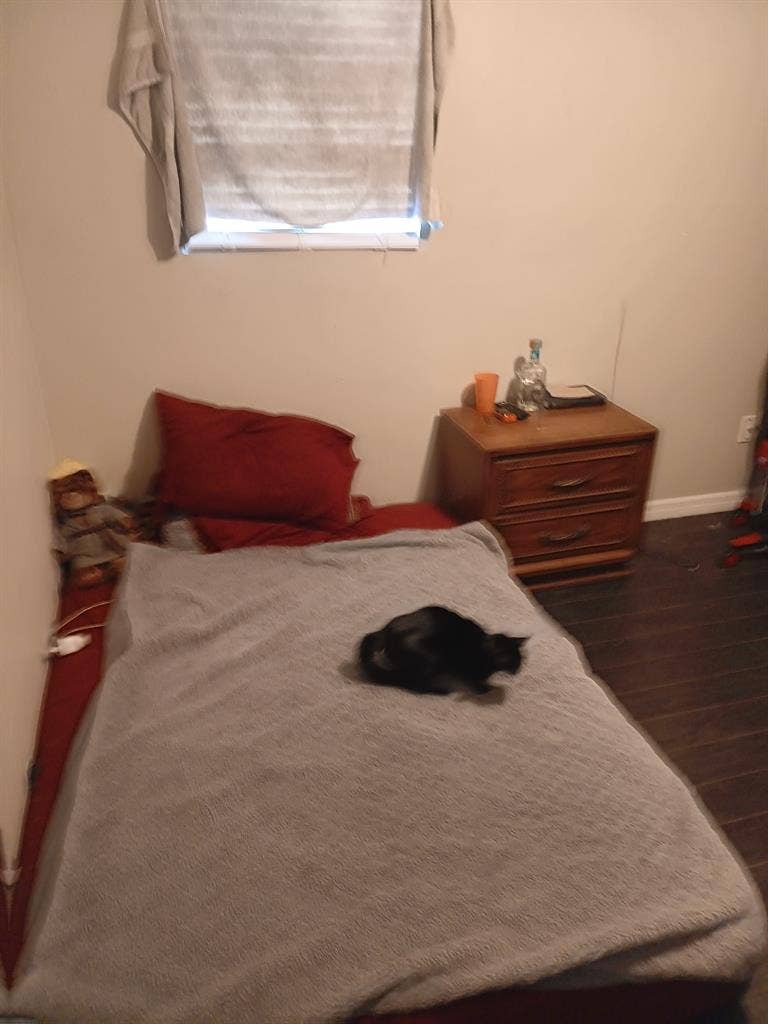 Room for rent