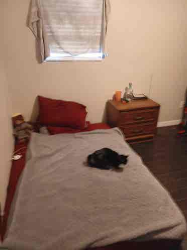 Room for rent