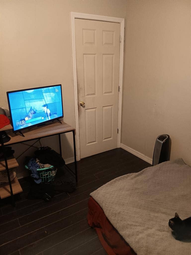 Room for rent