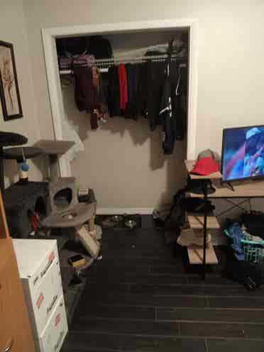 Room for rent