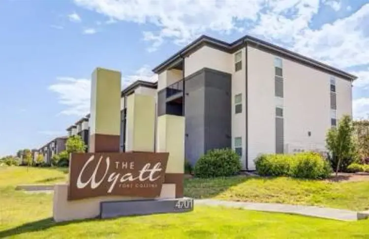 Looking for a roommate