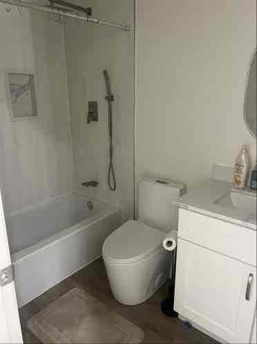 House mates wanted ASAP