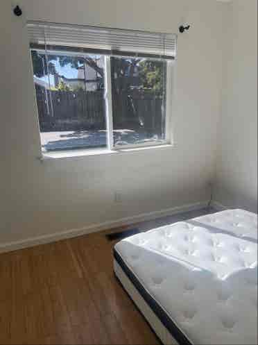 House mates wanted ASAP