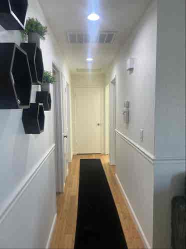House mates wanted ASAP