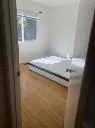 House mates wanted ASAP