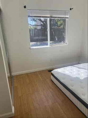 House mates wanted ASAP