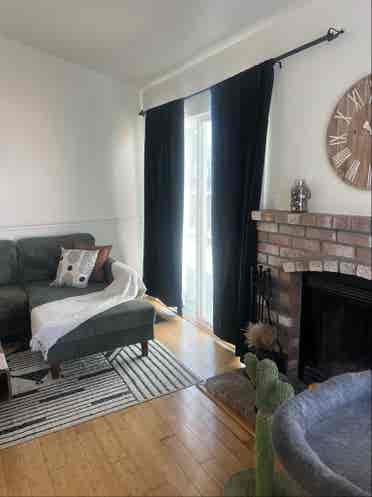 House mates wanted ASAP