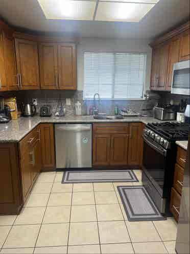 House mates wanted ASAP