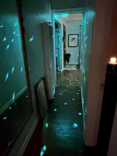 Room in Vintage Home