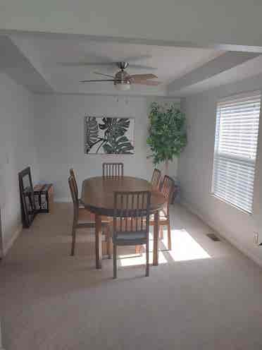 Looking for one additional roommate