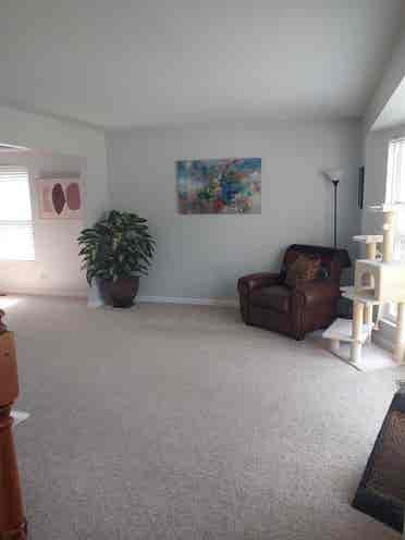 Looking for one additional roommate