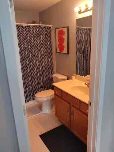 Looking for one additional roommate