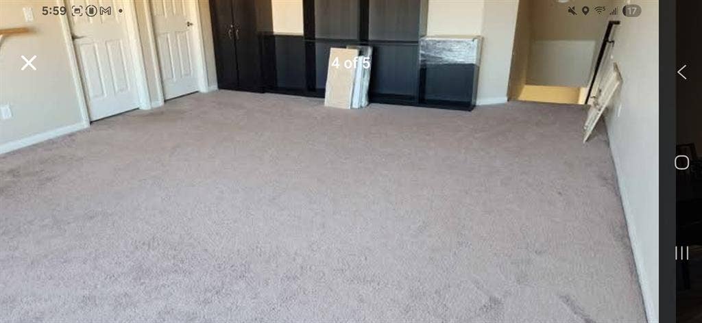 Looking for a roommate