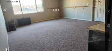 Looking for a roommate