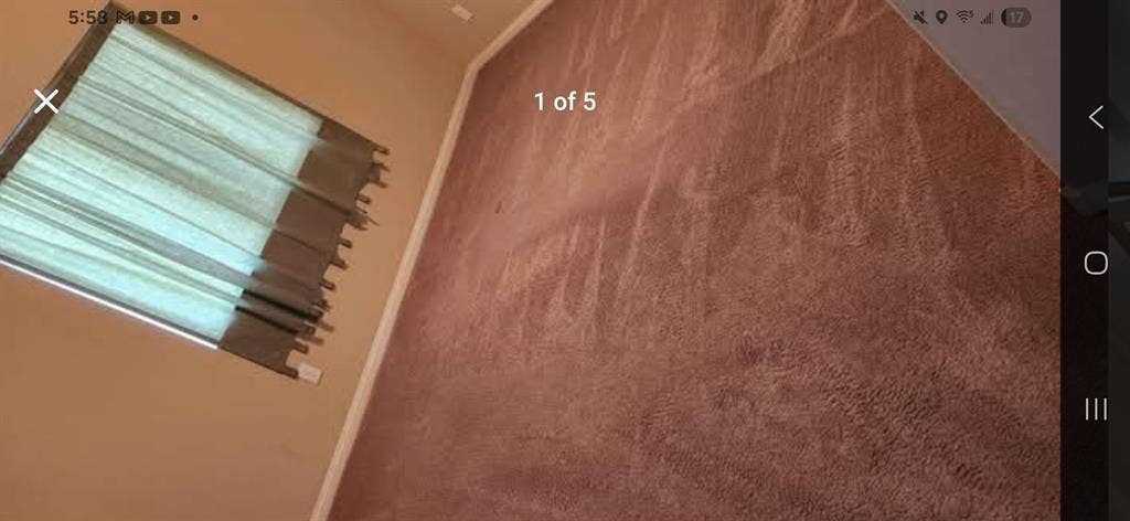 Looking for a roommate
