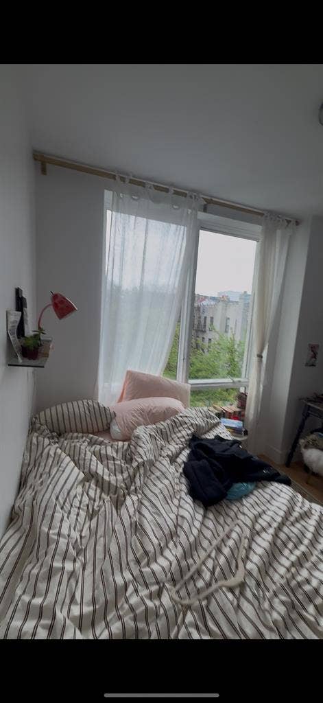 PRIME WILLIAMSBURG NEED 2 ROOMMATES