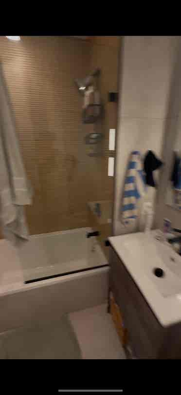 PRIME WILLIAMSBURG NEED 2 ROOMMATES