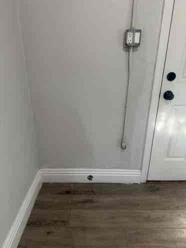 Studio/ Back house For Rent