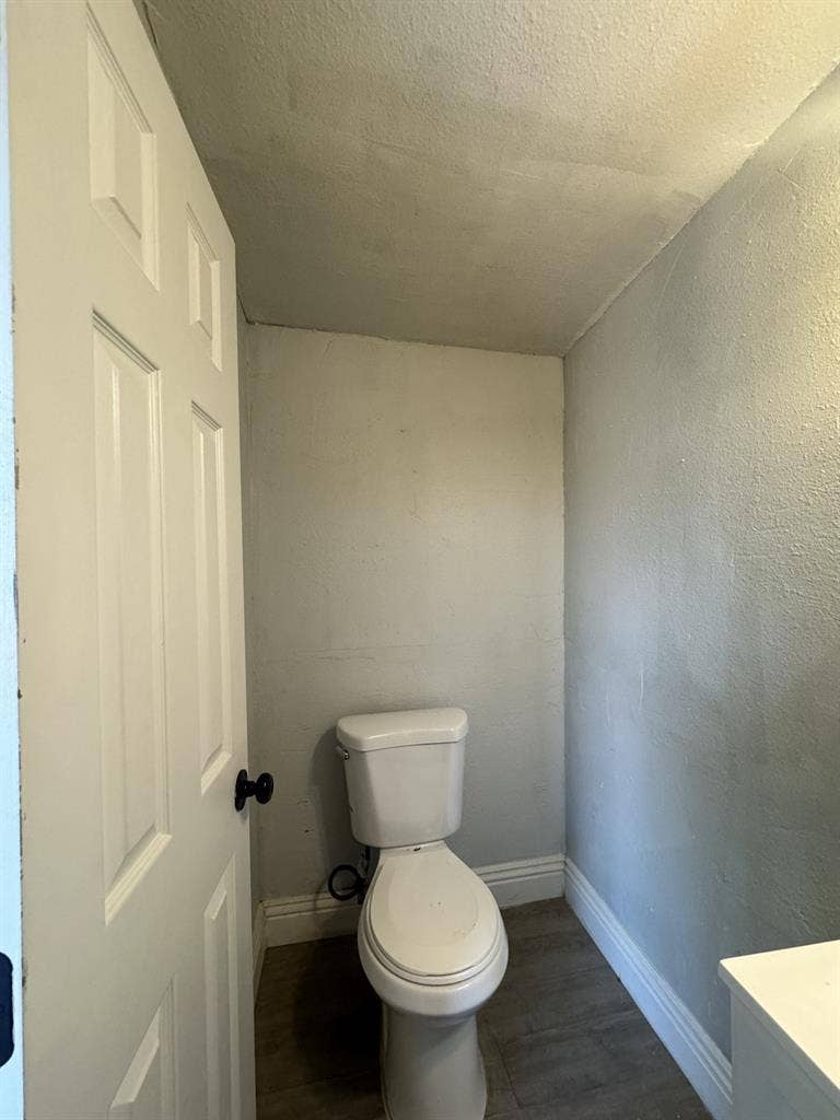 Studio/ Back house For Rent