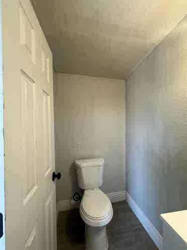 Studio/ Back house For Rent