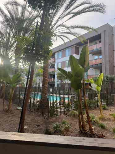 Summer Sublease (June-July)