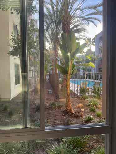 Summer Sublease (June-July)
