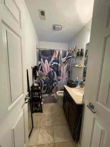 Seeking Female West Town Roomie!