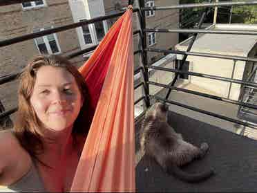 Seeking Female West Town Roomie!
