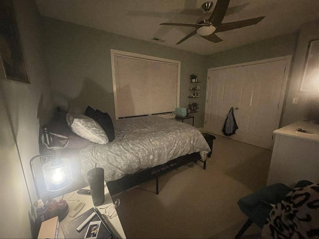 Seeking Female West Town Roomie!