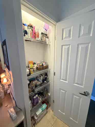 Seeking Female West Town Roomie!