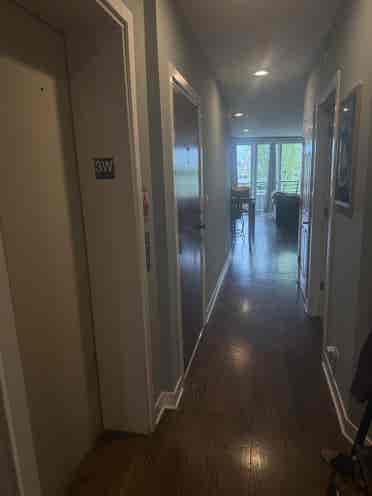 Seeking Female West Town Roomie!
