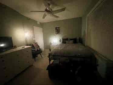 Seeking Female West Town Roomie!