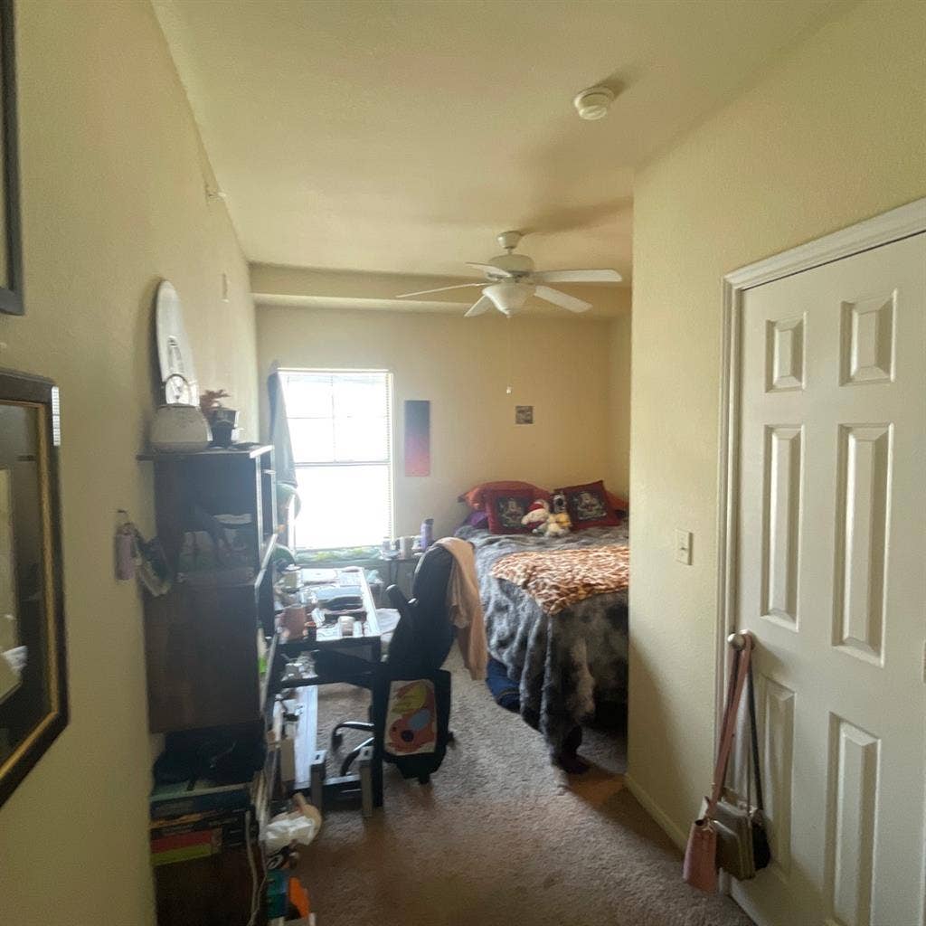 Looking for young female roommate