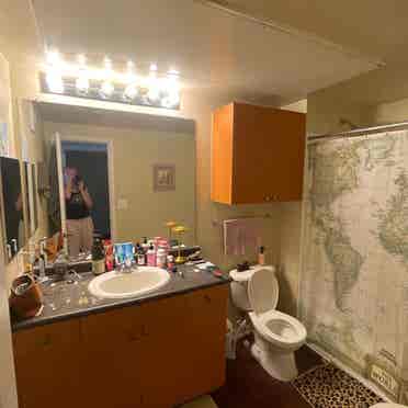 Looking for young female roommate