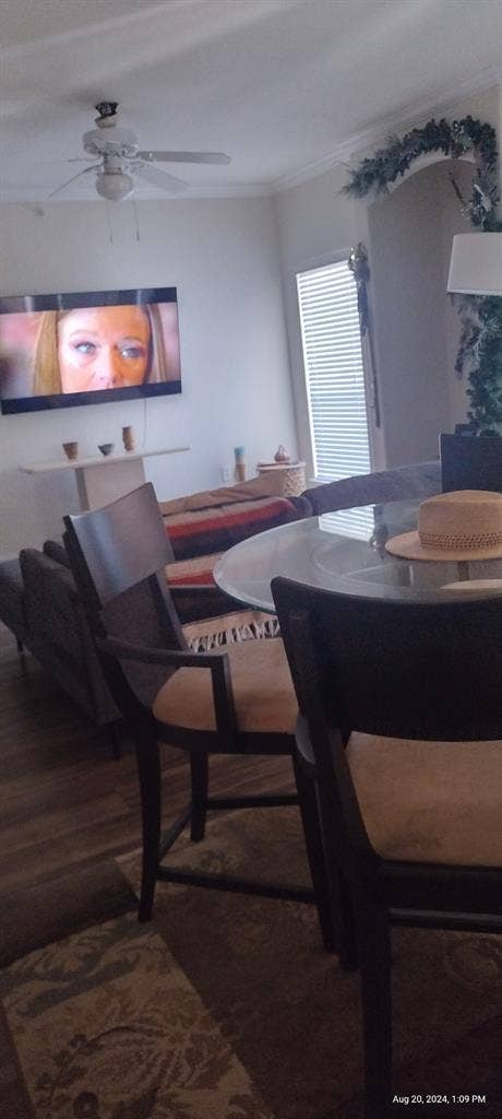 Lynn's Place