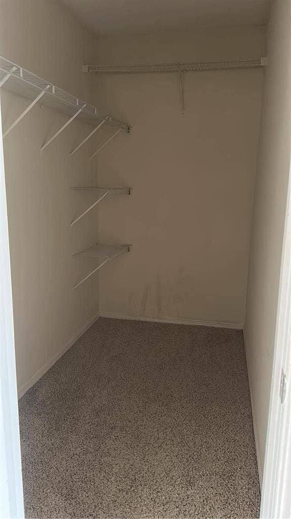 Looking for a roommate