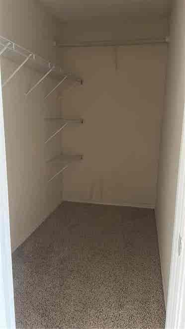 Looking for a roommate