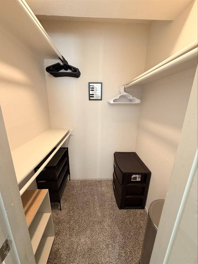 ROOM AVAILABLE NOW