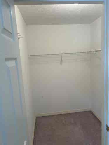 Spare spacious bedroom for rent