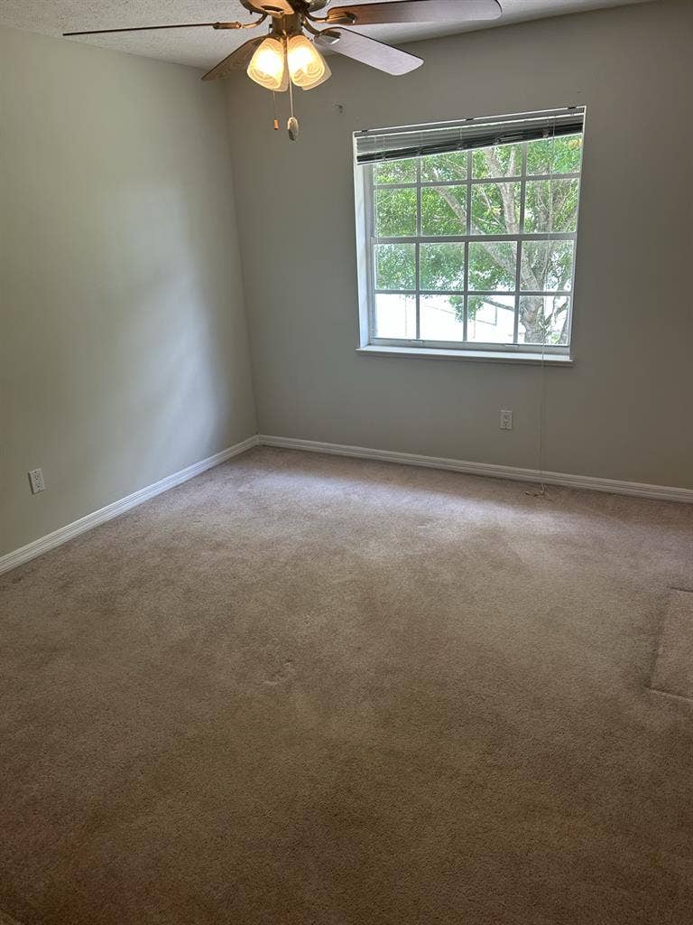 Spare spacious bedroom for rent