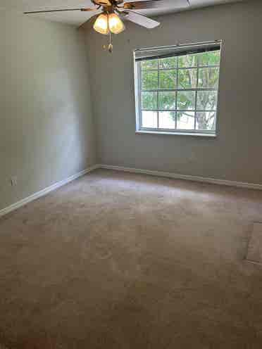 Spare spacious bedroom for rent