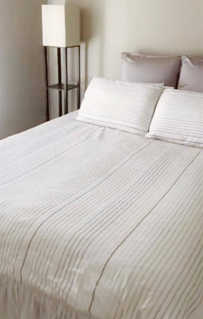 Professional Roommate Needed