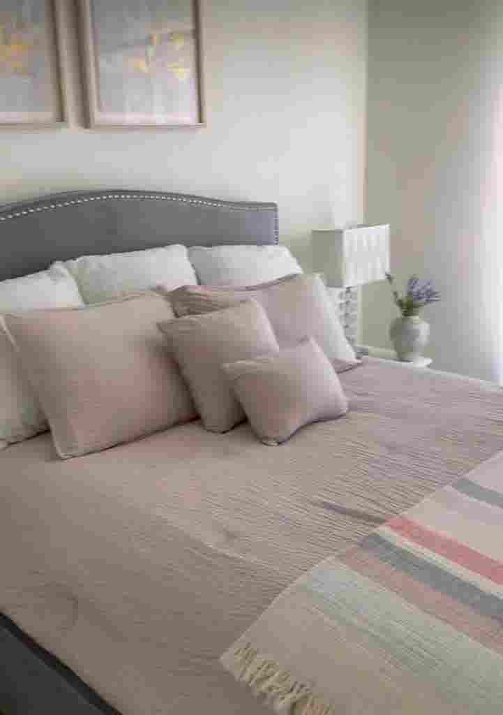 Professional Roommate Needed