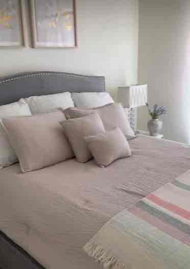 Professional Roommate Needed