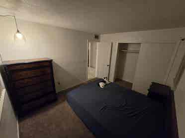 Seeking new roommate