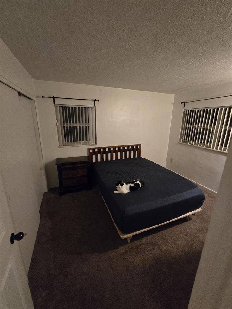 Seeking new roommate