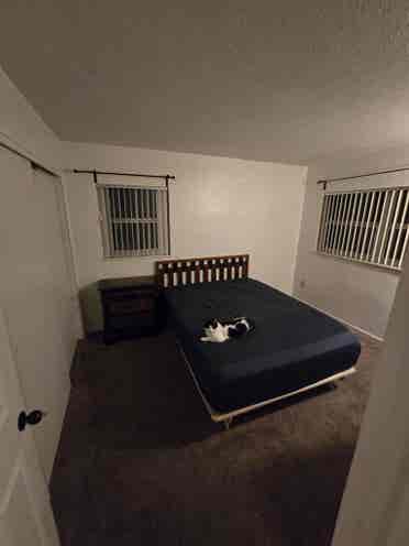 Seeking new roommate