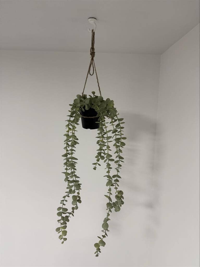 Room in rent available ASAP