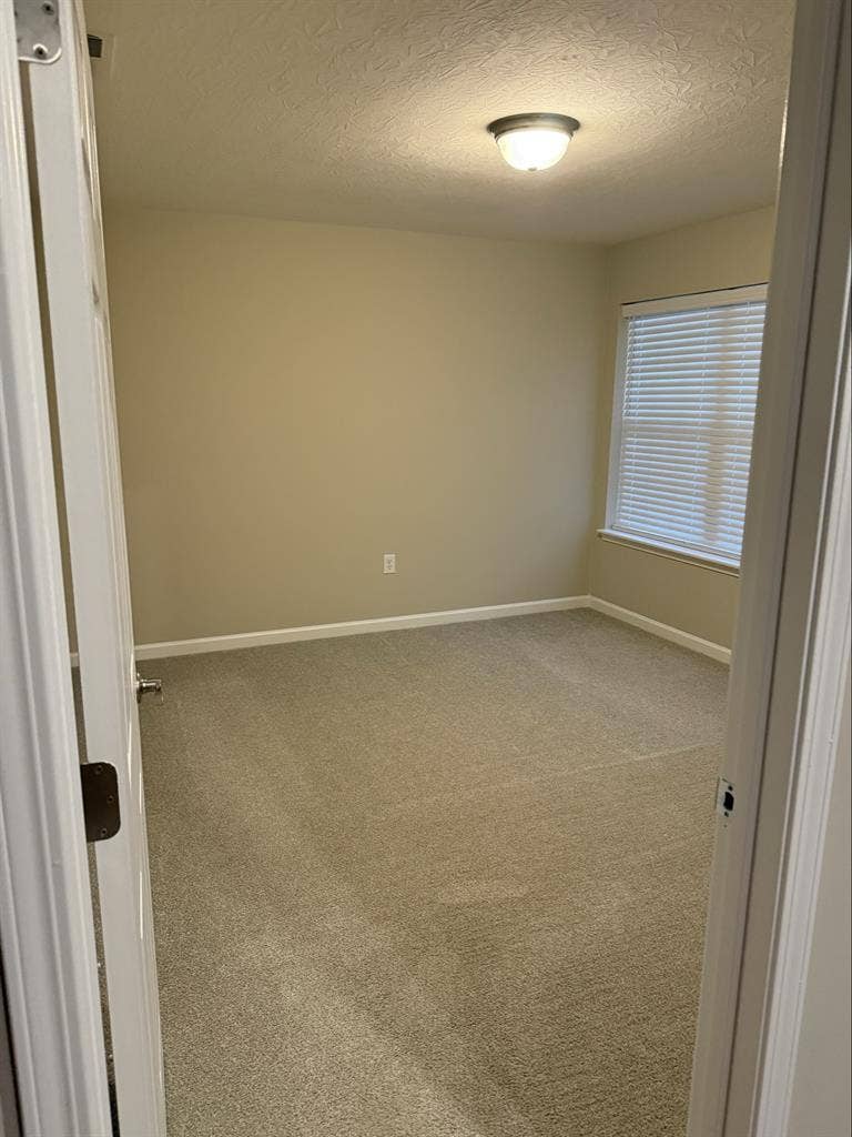 Roommate wanted