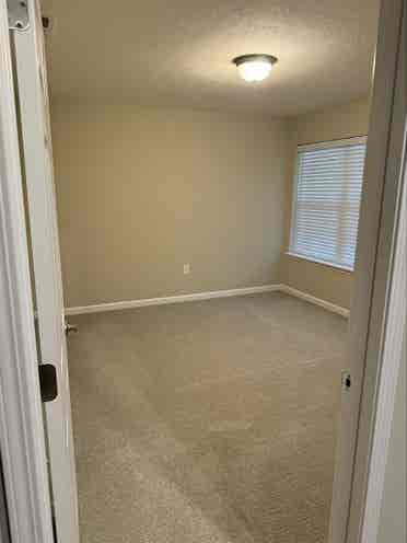 Roommate wanted